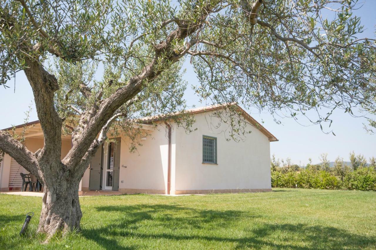 Agriturismo Il Mirto Пеша Романа Екстериор снимка