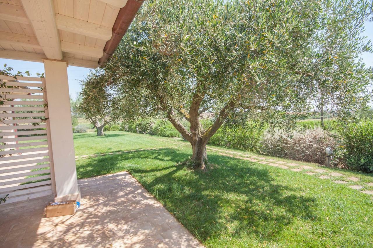 Agriturismo Il Mirto Пеша Романа Стая снимка